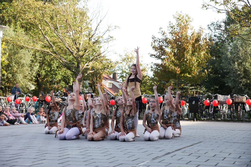 Schoolplein Festival B 161.jpg